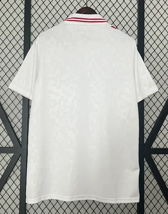 24' Denmark Away Kit