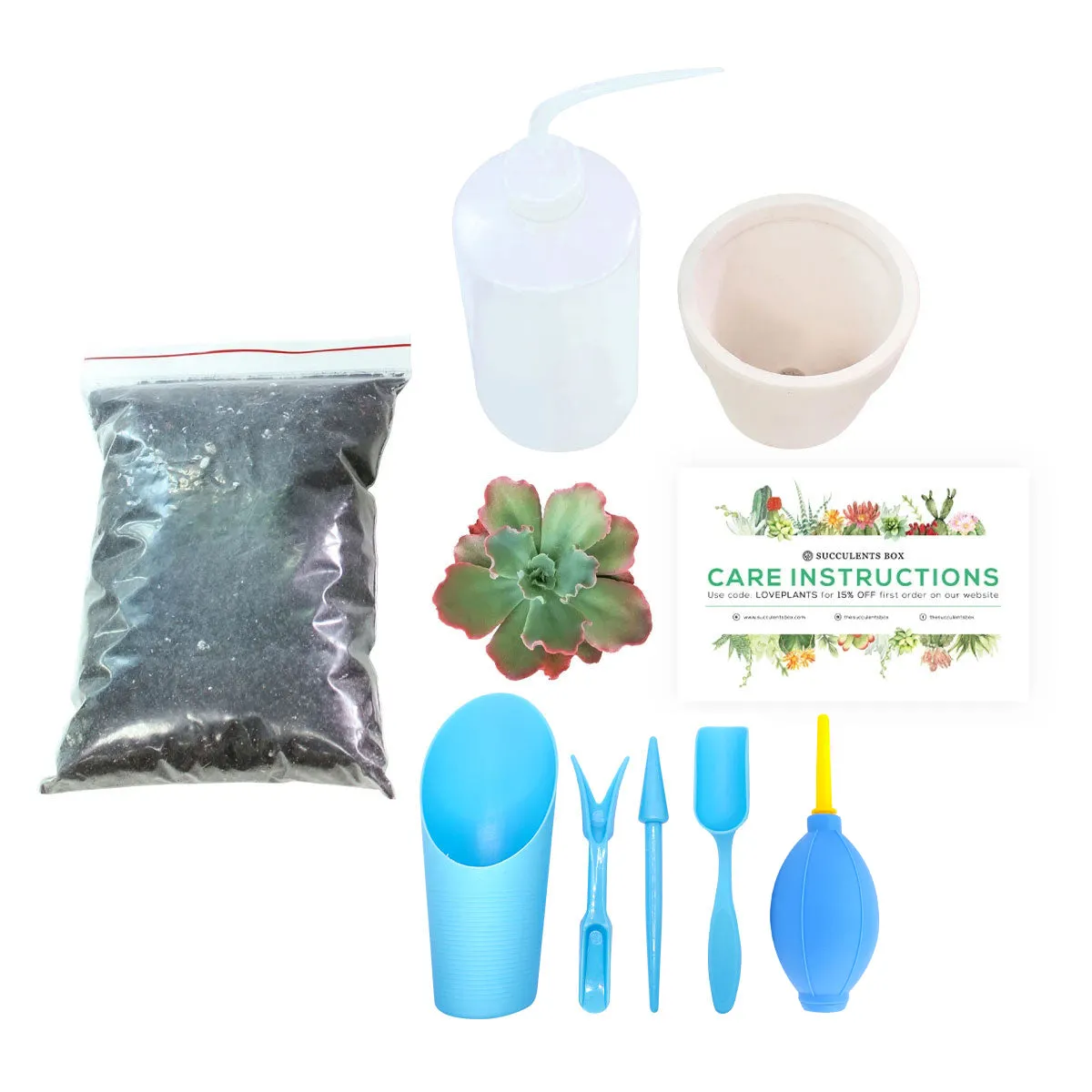 Beginner Kit (tools   4" plant)