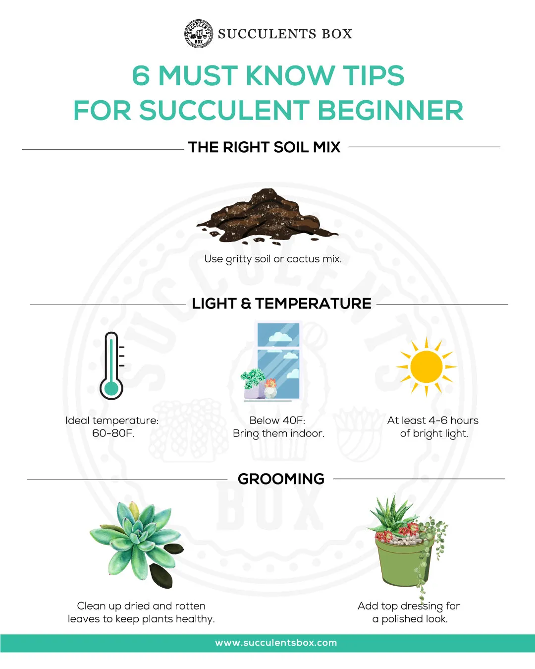 Beginner Kit (tools   4" plant)