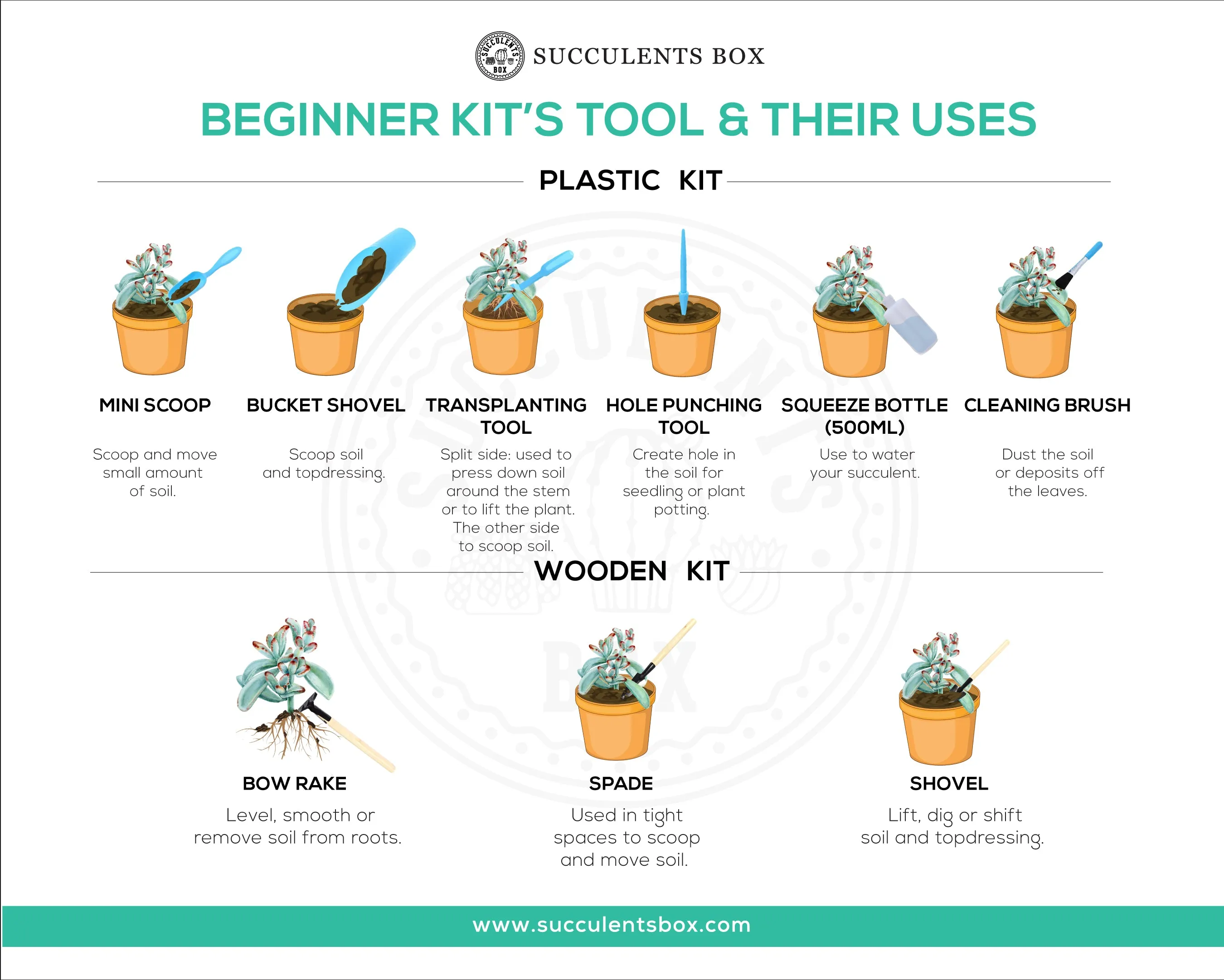 Beginner Kit (tools   4" plant)