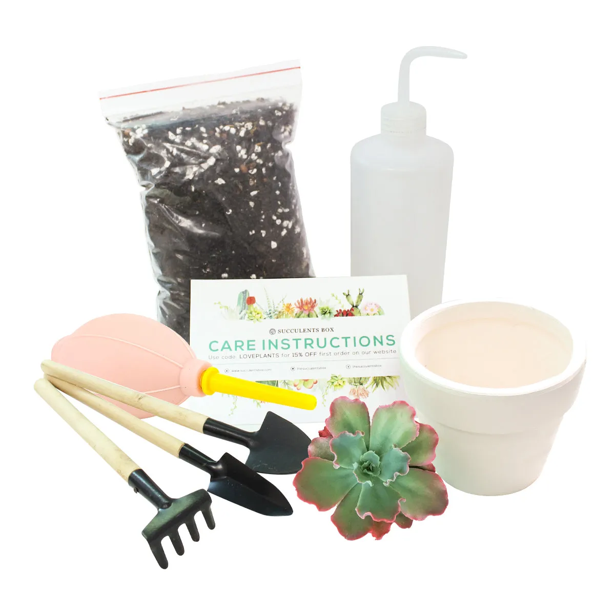 Beginner Kit (tools   4" plant)