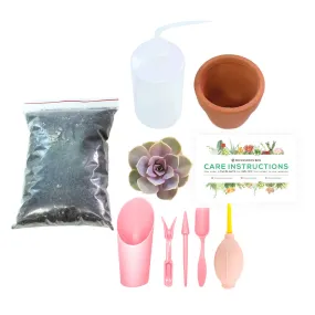 Beginner Kit (tools   4" plant)