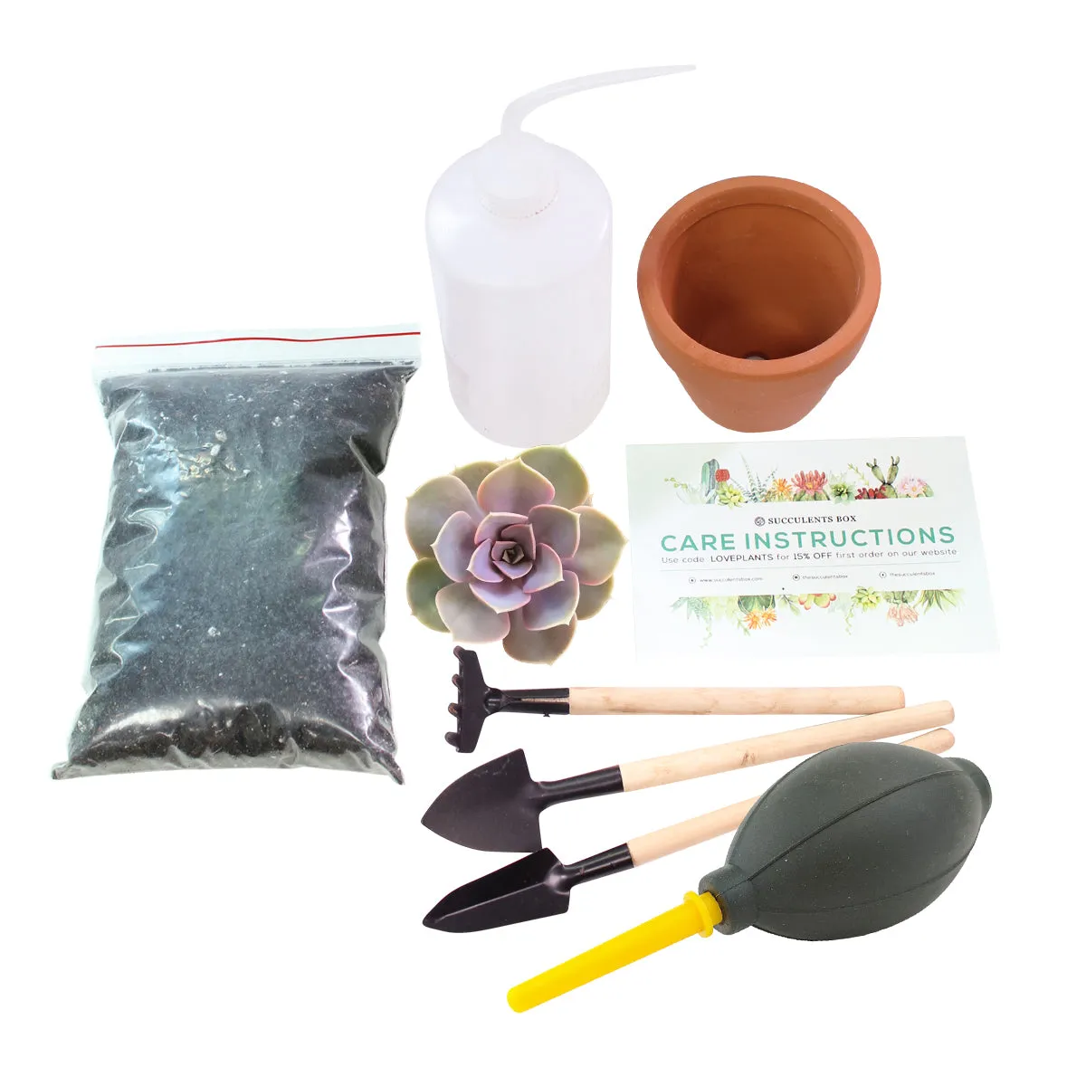 Beginner Kit (tools   4" plant)