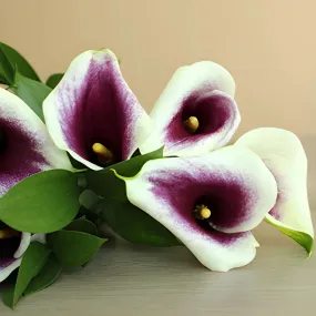 Save The Calla Lily Growers DIY Flower Kit